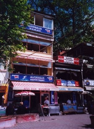 some tall flimsy-looking restaurants