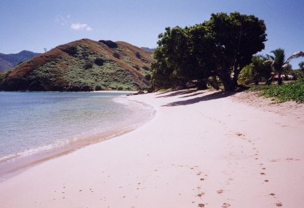 Beach with dog's footprints